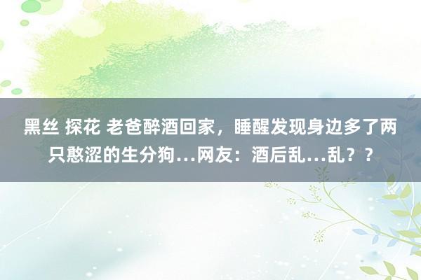 黑丝 探花 老爸醉酒回家，睡醒发现身边多了两只憨涩的生分狗…网友：酒后乱…乱？？