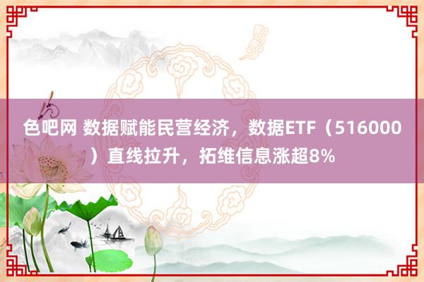 色吧网 数据赋能民营经济，数据ETF（516000）直线拉升，拓维信息涨超8%