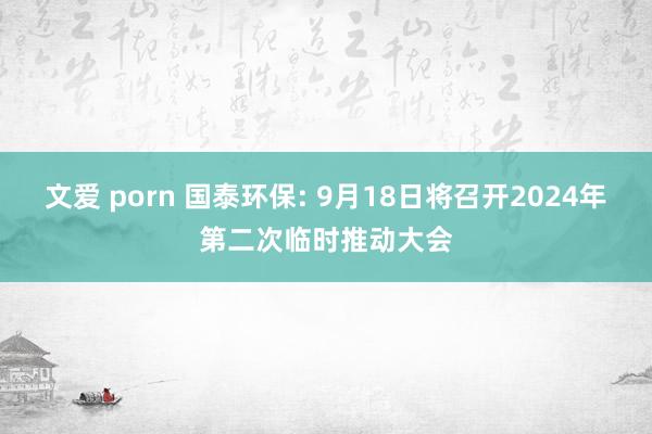 文爱 porn 国泰环保: 9月18日将召开2024年第二次临时推动大会