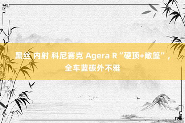 黑丝 内射 科尼赛克 Agera R“硬顶+敞篷”，全车蓝碳外不雅