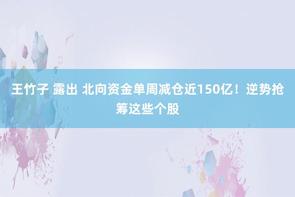 王竹子 露出 北向资金单周减仓近150亿！逆势抢筹这些个股