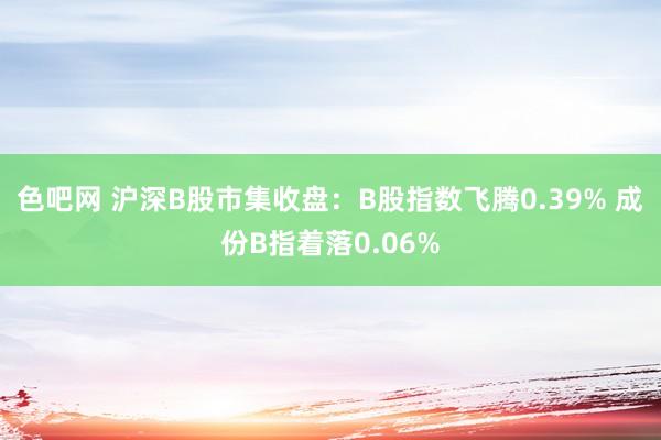 色吧网 沪深B股市集收盘：B股指数飞腾0.39% 成份B指着落0.06%