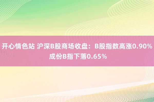 开心情色站 沪深B股商场收盘：B股指数高涨0.90% 成份B指下落0.65%