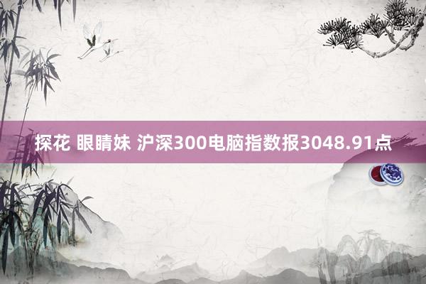 探花 眼睛妹 沪深300电脑指数报3048.91点