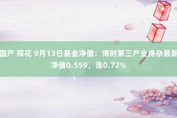 国产 探花 9月13日基金净值：博时第三产业搀杂最新净值0.559，涨0.72%