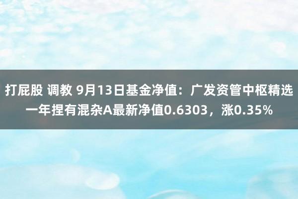 打屁股 调教 9月13日基金净值：广发资管中枢精选一年捏有混杂A最新净值0.6303，涨0.35%