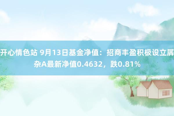 开心情色站 9月13日基金净值：招商丰盈积极设立羼杂A最新净值0.4632，跌0.81%