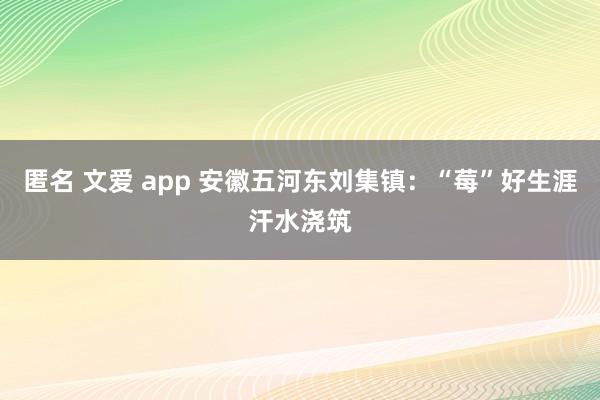 匿名 文爱 app 安徽五河东刘集镇：“莓”好生涯汗水浇筑