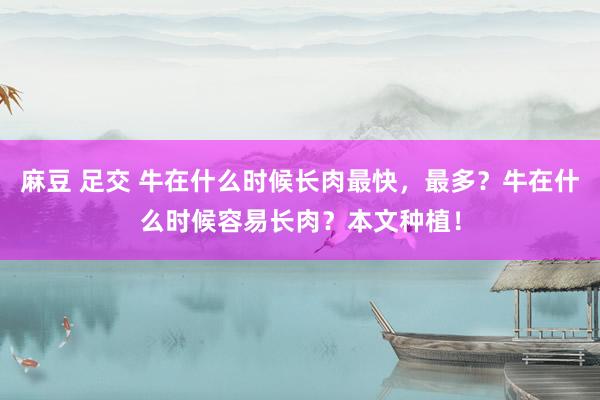 麻豆 足交 牛在什么时候长肉最快，最多？牛在什么时候容易长肉？本文种植！