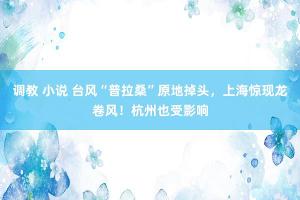 调教 小说 台风“普拉桑”原地掉头，上海惊现龙卷风！杭州也受影响