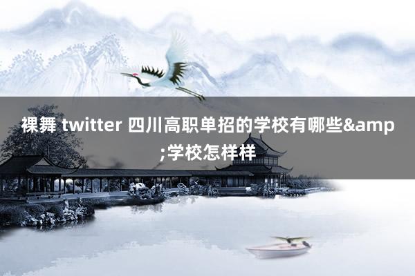 裸舞 twitter 四川高职单招的学校有哪些&学校怎样样