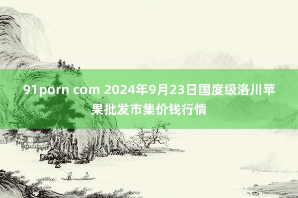 91porn com 2024年9月23日国度级洛川苹果批发市集价钱行情