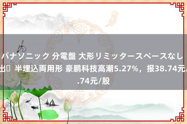 パナソニック 分電盤 大形リミッタースペースなし 露出・半埋込両用形 豪鹏科技高潮5.27%，报38.74元/股