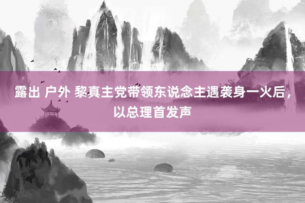 露出 户外 黎真主党带领东说念主遇袭身一火后，以总理首发声