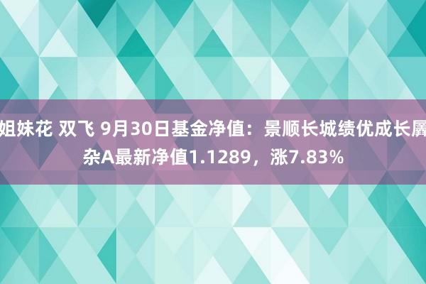 姐妹花 双飞 9月30日基金净值：景顺长城绩优成长羼杂A最新净值1.1289，涨7.83%