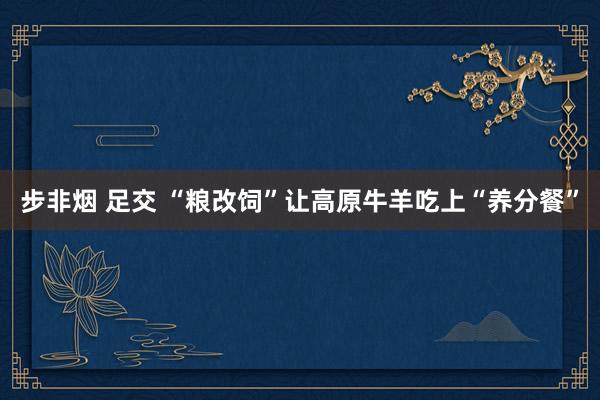 步非烟 足交 “粮改饲”让高原牛羊吃上“养分餐”