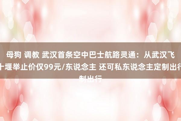 母狗 调教 武汉首条空中巴士航路灵通：从武汉飞十堰举止价仅99元/东说念主 还可私东说念主定制出行