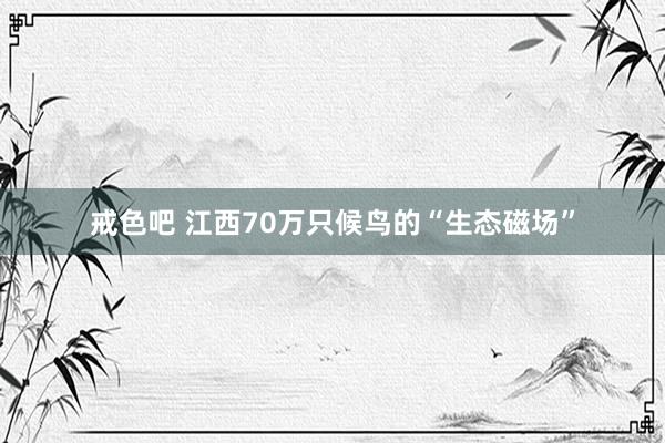 戒色吧 江西70万只候鸟的“生态磁场”