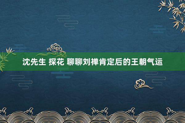 沈先生 探花 聊聊刘禅肯定后的王朝气运