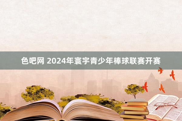 色吧网 2024年寰宇青少年棒球联赛开赛