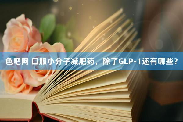 色吧网 口服小分子减肥药，除了GLP-1还有哪些？