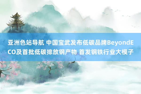 亚洲色站导航 中国宝武发布低碳品牌BeyondECO及首批低碳排放钢产物 首发钢铁行业大模子