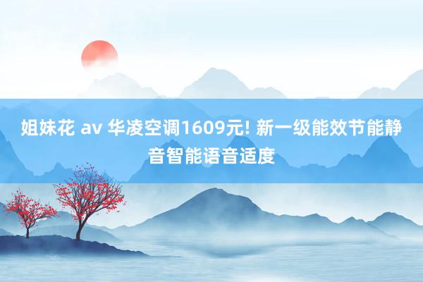 姐妹花 av 华凌空调1609元! 新一级能效节能静音智能语音适度