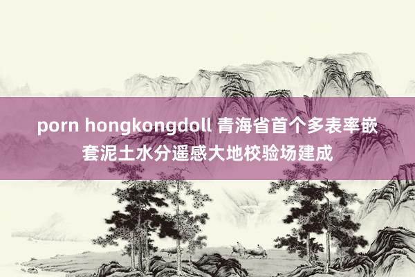 porn hongkongdoll 青海省首个多表率嵌套泥土水分遥感大地校验场建成