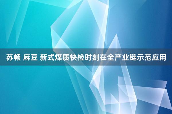 苏畅 麻豆 新式煤质快检时刻在全产业链示范应用