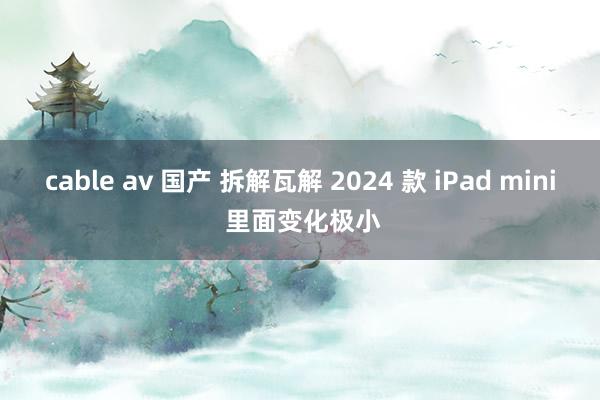 cable av 国产 拆解瓦解 2024 款 iPad mini 里面变化极小