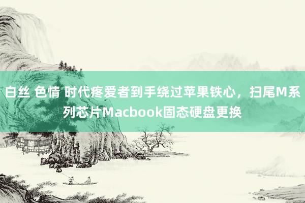 白丝 色情 时代疼爱者到手绕过苹果铁心，扫尾M系列芯片Macbook固态硬盘更换