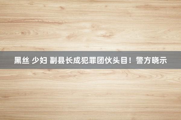 黑丝 少妇 副县长成犯罪团伙头目！警方晓示