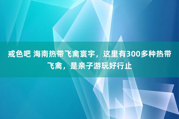 戒色吧 海南热带飞禽寰宇，这里有300多种热带飞禽，是亲子游玩好行止