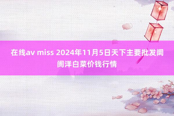 在线av miss 2024年11月5日天下主要批发阛阓洋白菜价钱行情