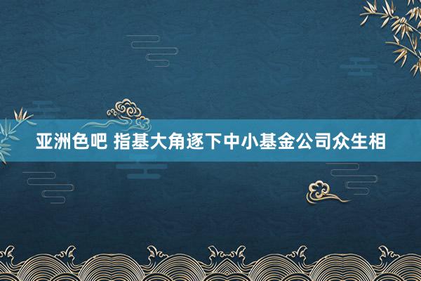 亚洲色吧 指基大角逐下中小基金公司众生相