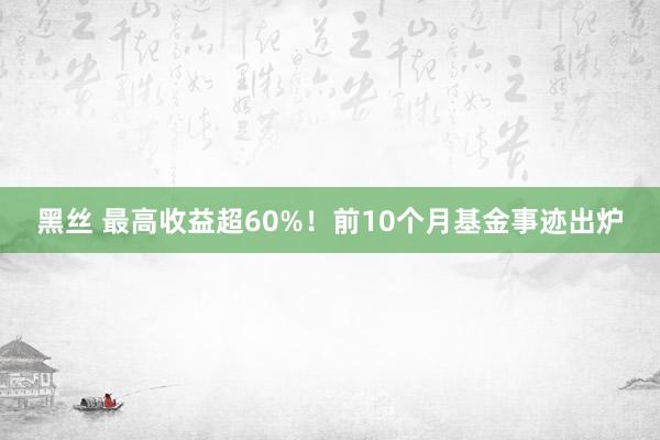 黑丝 最高收益超60%！前10个月基金事迹出炉