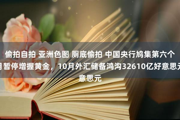 偷拍自拍 亚洲色图 厕底偷拍 中国央行鸠集第六个月暂停增握黄金，10月外汇储备鸿