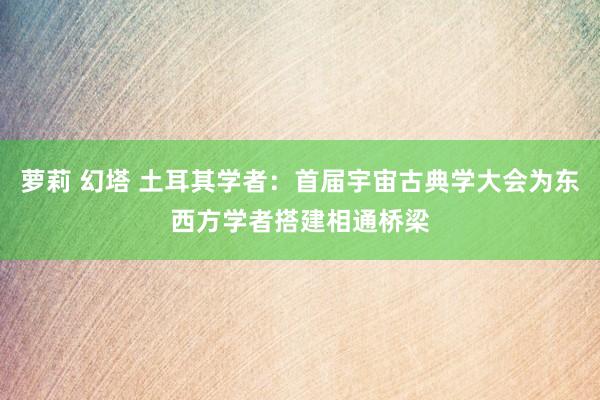 萝莉 幻塔 土耳其学者：首届宇宙古典学大会为东西方学者搭建相通桥梁